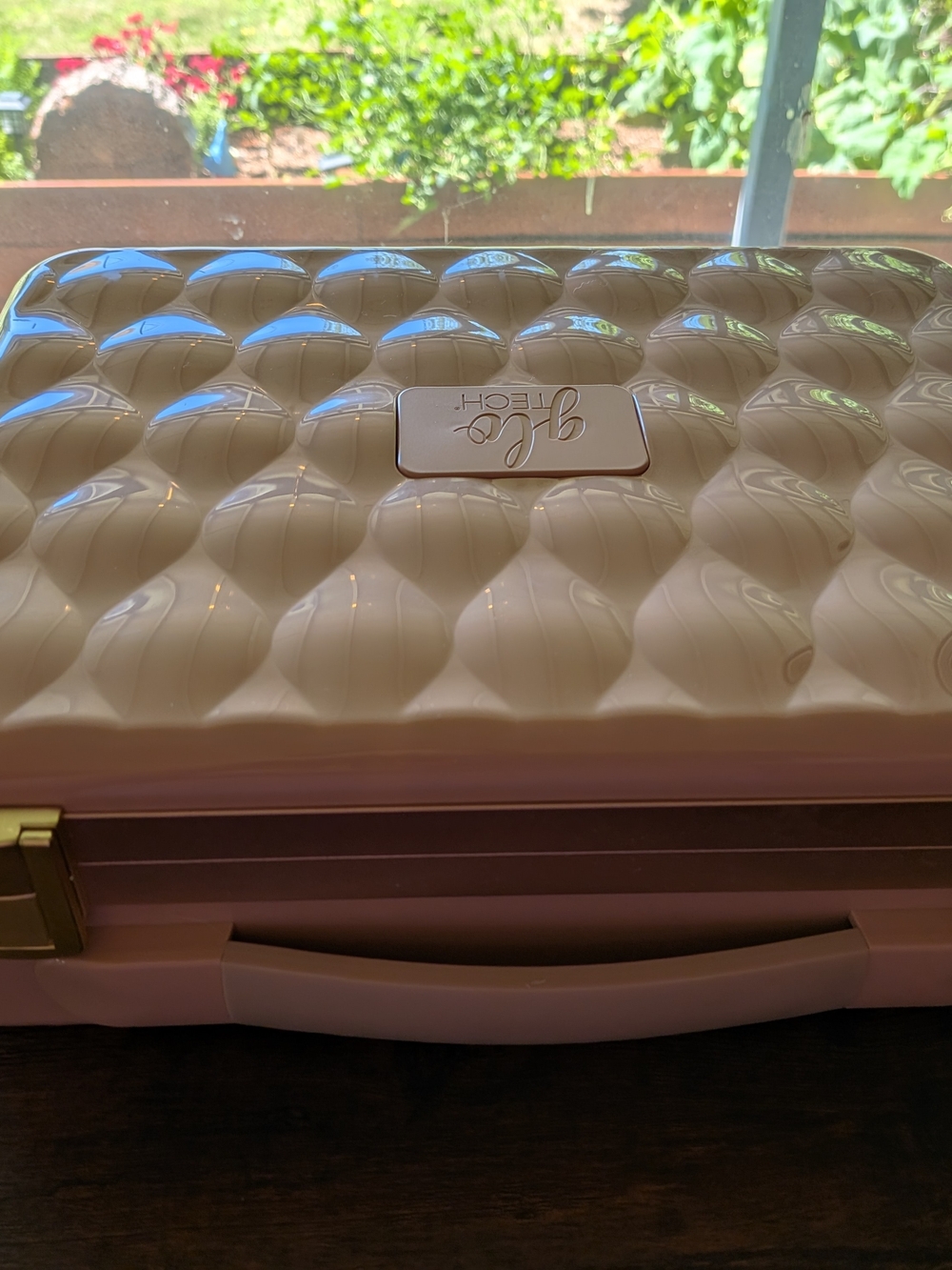 Pink Cosmetic Train Case